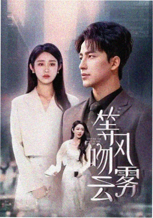 长街灯火剧集档案封面